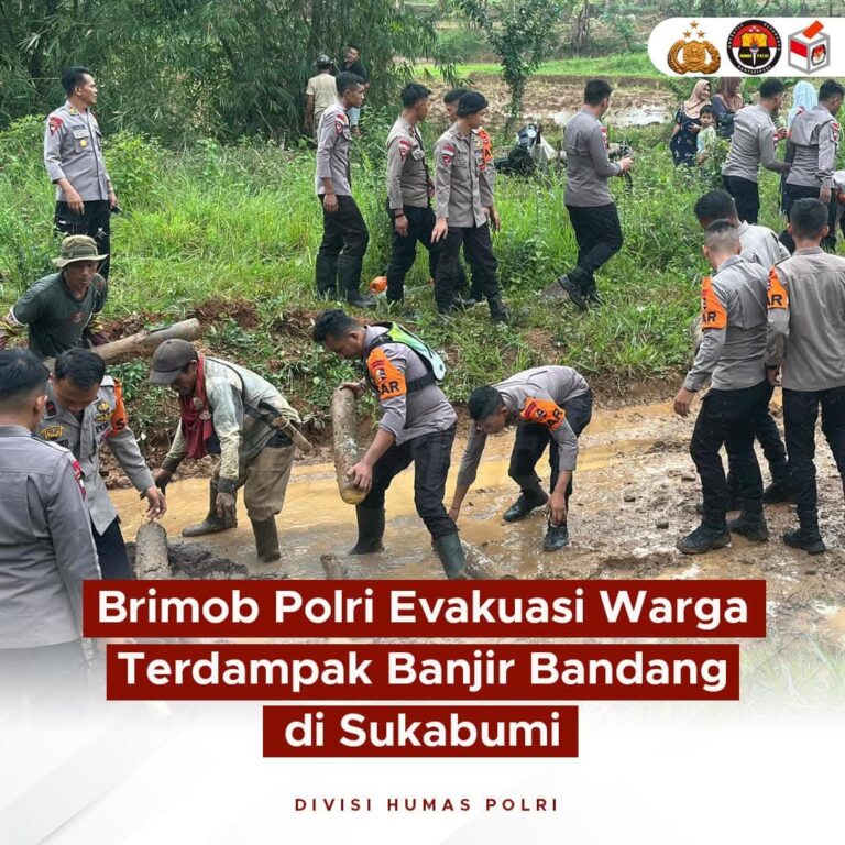 FB_IMG_1733463526797