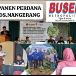 Screenshot_20260129_064616_WhatsApp