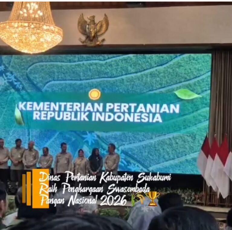 WhatsApp Image 2026-01-16 at 14.02.21