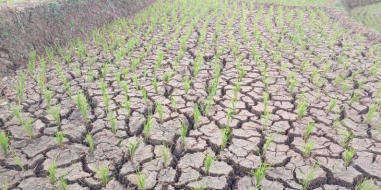 1774868901379-800x399