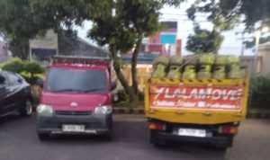 IMG-20260401-WA0003-300x178