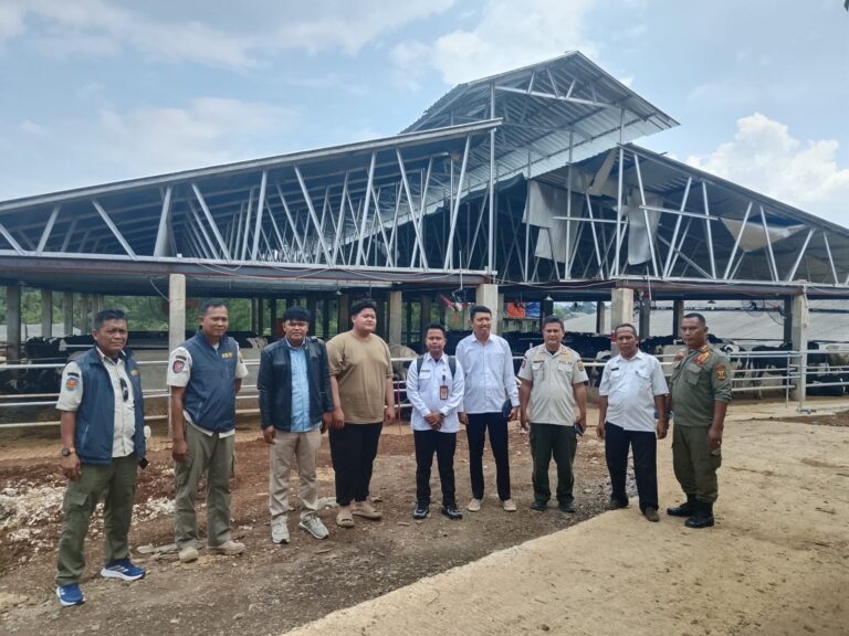 WhatsApp Image 2026-04-08 at 17.04.05 (1)