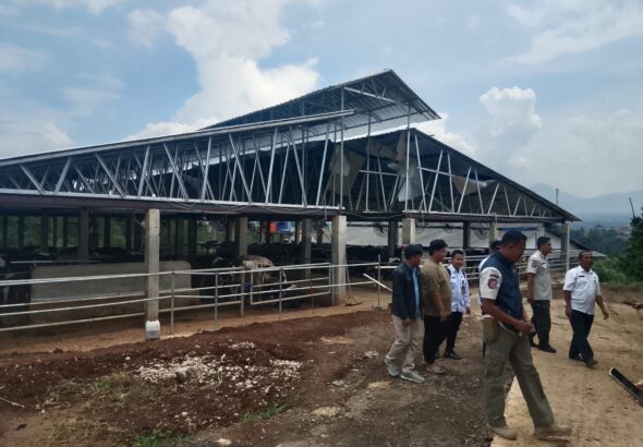 WhatsApp Image 2026-04-08 at 17.04.06 (2)