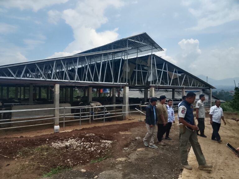 WhatsApp Image 2026-04-08 at 17.04.06 (2)