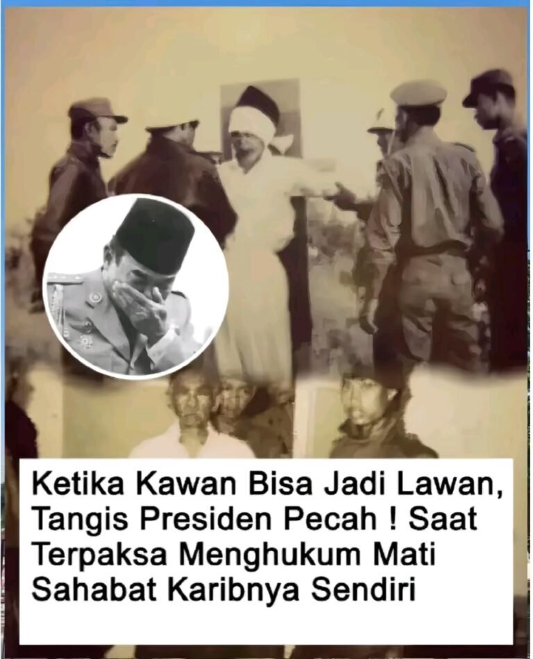 Screenshot_20260909_084344_TikTok